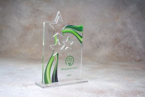 Acrylic statuette, award
